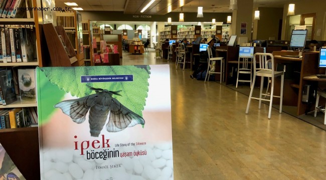 İpek Böceğinin yaşam öyküsü ABD'de