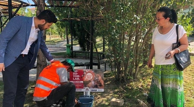 Isparta Belediyesinden, sokak hayvanları için örnek çalışma