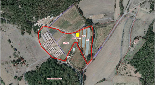 İstanbul'da tarım ve hayvancılığa yatırım fırsatı