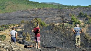 İZSİAD'dan İzmir'e fidan kampanyası