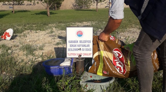 Karabük'ün Çeşitli Bölgelerinde Sokak Hayvanlarına Kuru Mama Bırakıldı