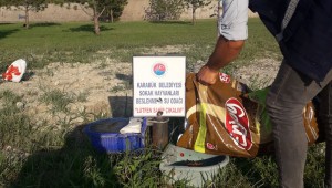 Karabük'ün Çeşitli Bölgelerinde Sokak Hayvanlarına Kuru Mama Bırakıldı