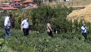​KEÇİÖREN'DE ORGANİK TARIM İÇİN SAHA GEZİLERİ BAŞLADI