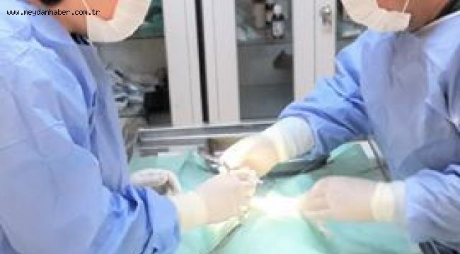 Kepez, can dostlarına iyi bakıyor