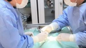 Kepez, can dostlarına iyi bakıyor