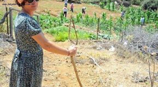 KÖY-KOOP  İZMİR BİRLİĞİNDEN   TARIM VE ORMAN BAKANLIĞI'NA "Yasayı uygulayın, ormanları köylüye bırakın" çağrısı