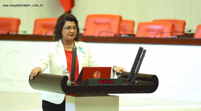 ÖLMEK İSTEMİYORUZ; İSTANBUL SÖZLEŞMESİ UYGULANSIN, KADINLAR YAŞASIN !