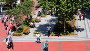 SAKARYA'DA SONA GELİNDİ