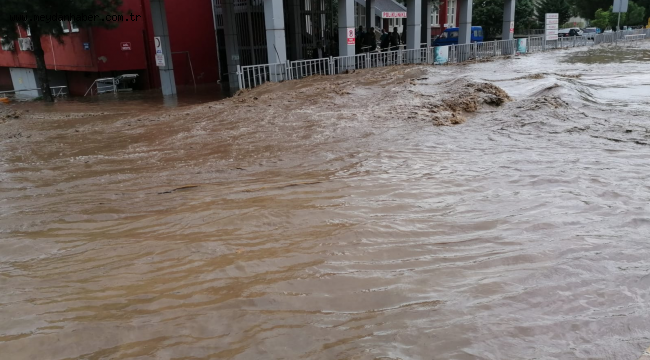 Samsun'da sağanak can aldı