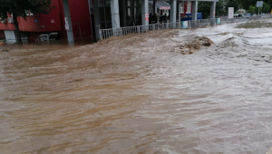 Samsun'da sağanak can aldı