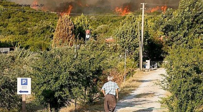 Serter'den Bakan Pakdemirli'ye orman yangını tepkisi