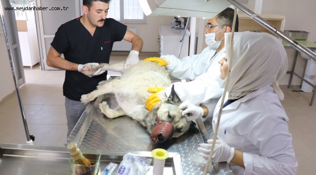 TÜM CANLILARA KARŞI ÖZEL HASSASİYET