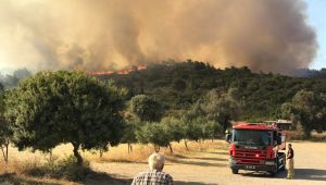 Urla'daki yangına 5 helikopterli takviye