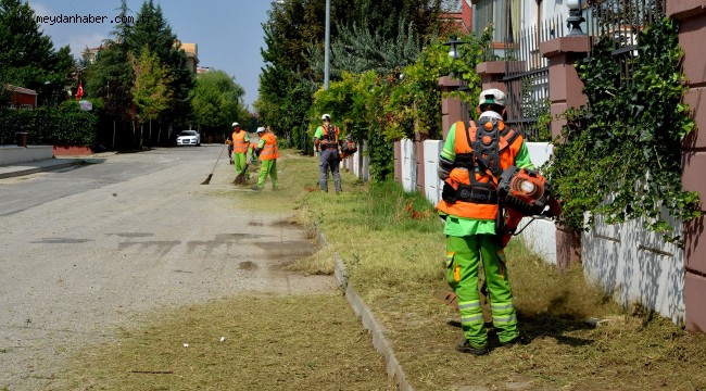 YABANİ OT TEMİZLİĞİ SÜRÜYOR
