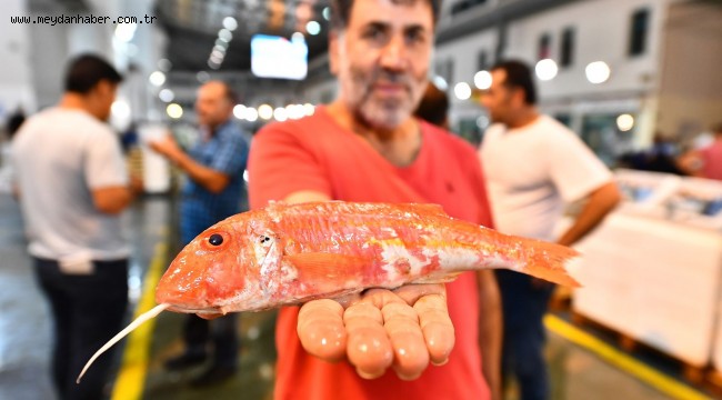 Balık sezonu İzmir Balık Hali'ndeki törenle açıldı