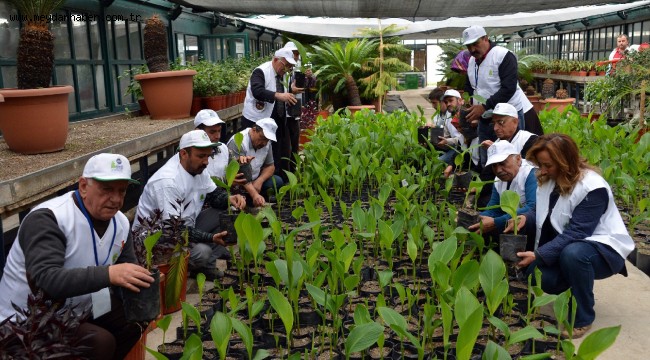 BÜYÜKŞEHİR'İN BAHÇIVANLIK KURSU'NA YOĞUN İLGİ…