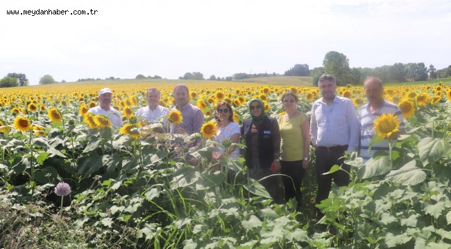 Çiftçilere yüzde 50 hibeli tohum desteği