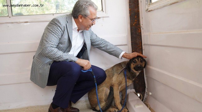 Ege'de can dostlar için "Tedavi İstasyonu" kuruldu
