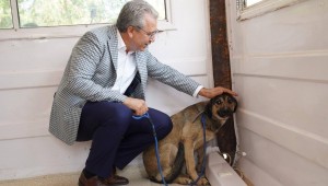 Ege'de can dostlar için "Tedavi İstasyonu" kuruldu