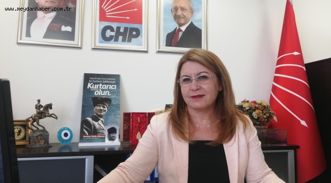 GÜLİZAR BİÇER KARACA: ATATÜRK ORMAN ÇİFTLİĞİ İÇİN ARAŞTIRMA KOMİSYONU KURULSUN!