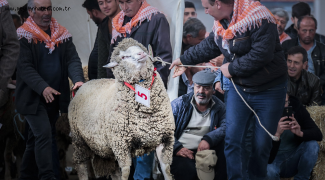 Güzeller podyumu salladı