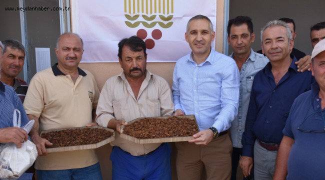 İl Müdürü Öztürk Kuru Üzüm Alım Çalışmalarını Yerinde İnceledi