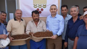 İl Müdürü Öztürk Kuru Üzüm Alım Çalışmalarını Yerinde İnceledi