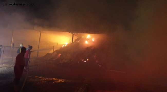 İtfaiye Ağustos Ayı'nda 50yangına müdahale etti