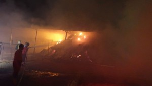 İtfaiye Ağustos Ayı'nda 50yangına müdahale etti