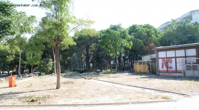 Menemen Belediyesi'nden ağaç katliamı iddialarına yalanlama 