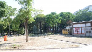 Menemen Belediyesi'nden ağaç katliamı iddialarına yalanlama 