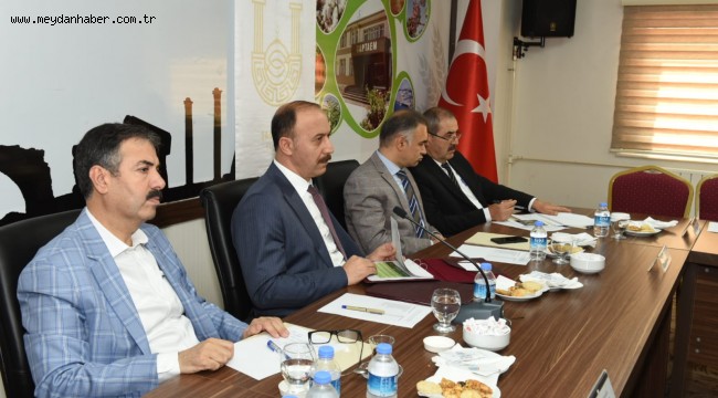 Türkiye'nin En Büyük Ağaçlandırma Kampanyası Başlıyor