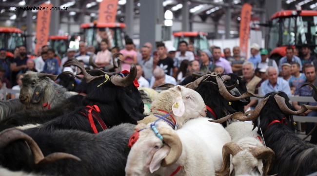 Vali Kocabıyık: "Dayanışma fuarı"