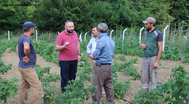Ahududu kalitesi Büyükşehir'le artıyor