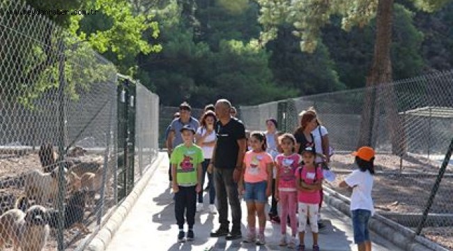 BARINAKTAKİ KÖPEKLERE MÜZİK RESİTALİ