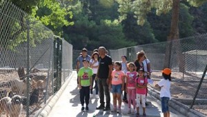 BARINAKTAKİ KÖPEKLERE MÜZİK RESİTALİ