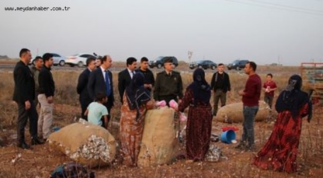 Beş Gram Naylon, Beş Ton Pamuğu Bozuyor