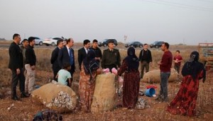 Beş Gram Naylon, Beş Ton Pamuğu Bozuyor