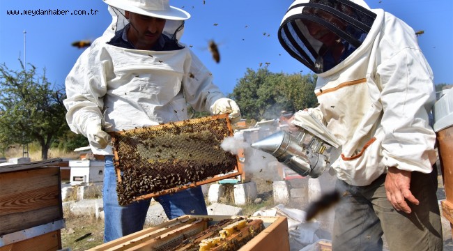 Bornova'da bal hasadı