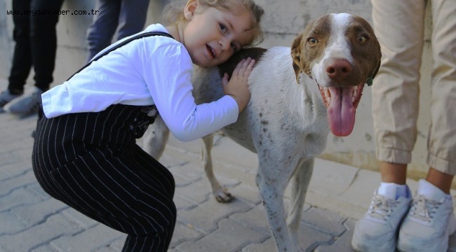 Can dostlar İçin Büyükşehir Barınağına Akın Ettiler 