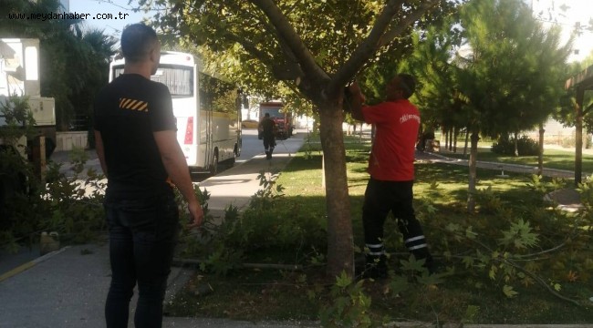 ÇİĞLİ'DE KIŞ HAZIRLIĞI