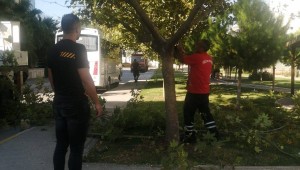 ÇİĞLİ'DE KIŞ HAZIRLIĞI