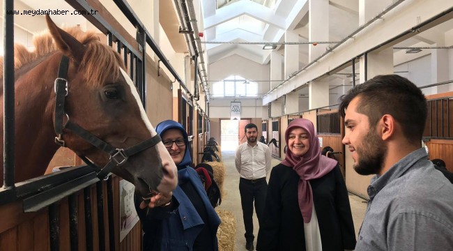   Feyza Aşgın, "Hayvanlar Allah'ın bizlere gönderdiği dilsiz varlıklardır"