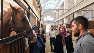   Feyza Aşgın, "Hayvanlar Allah'ın bizlere gönderdiği dilsiz varlıklardır"