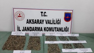   J.Gn.K.lığı KOM Daire Başkanlığı 