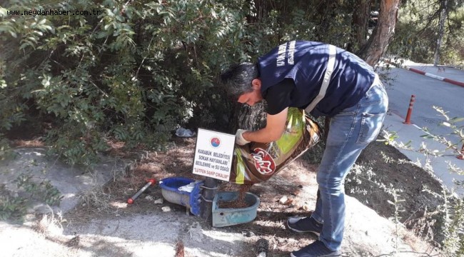 Karabük Belediyesi Sokak Hayvanlarını 4 Ekim Hayvanları Koruma Gününde de Unutmadı