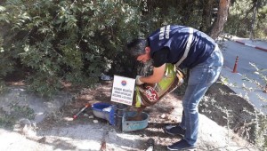 Karabük Belediyesi Sokak Hayvanlarını 4 Ekim Hayvanları Koruma Gününde de Unutmadı