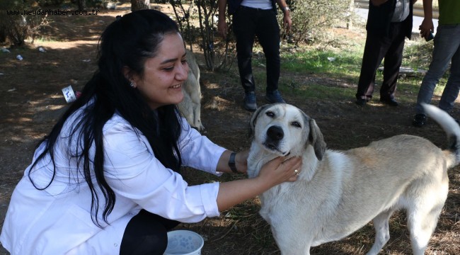 Kartal Belediyesi'nden 4 Ekim'de Sokak Hayvanlarına Mama Desteği