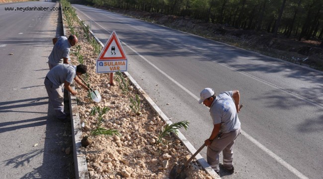 Kepez'in caddeleri çiçek açıyor