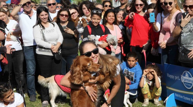 Narlıdere'de can dostlar için festival!